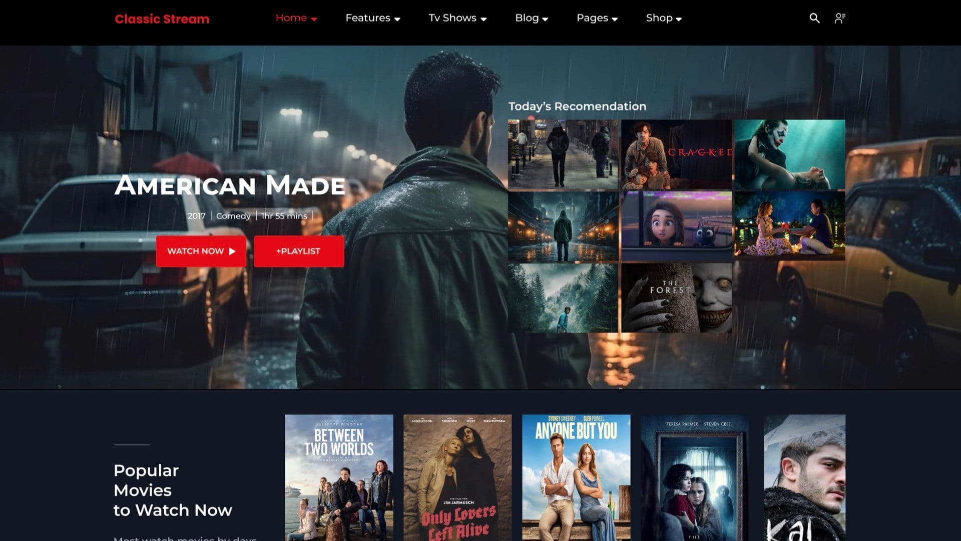 Classic Stream: OTT Platform with Subscriptions & Smart Filters Hero