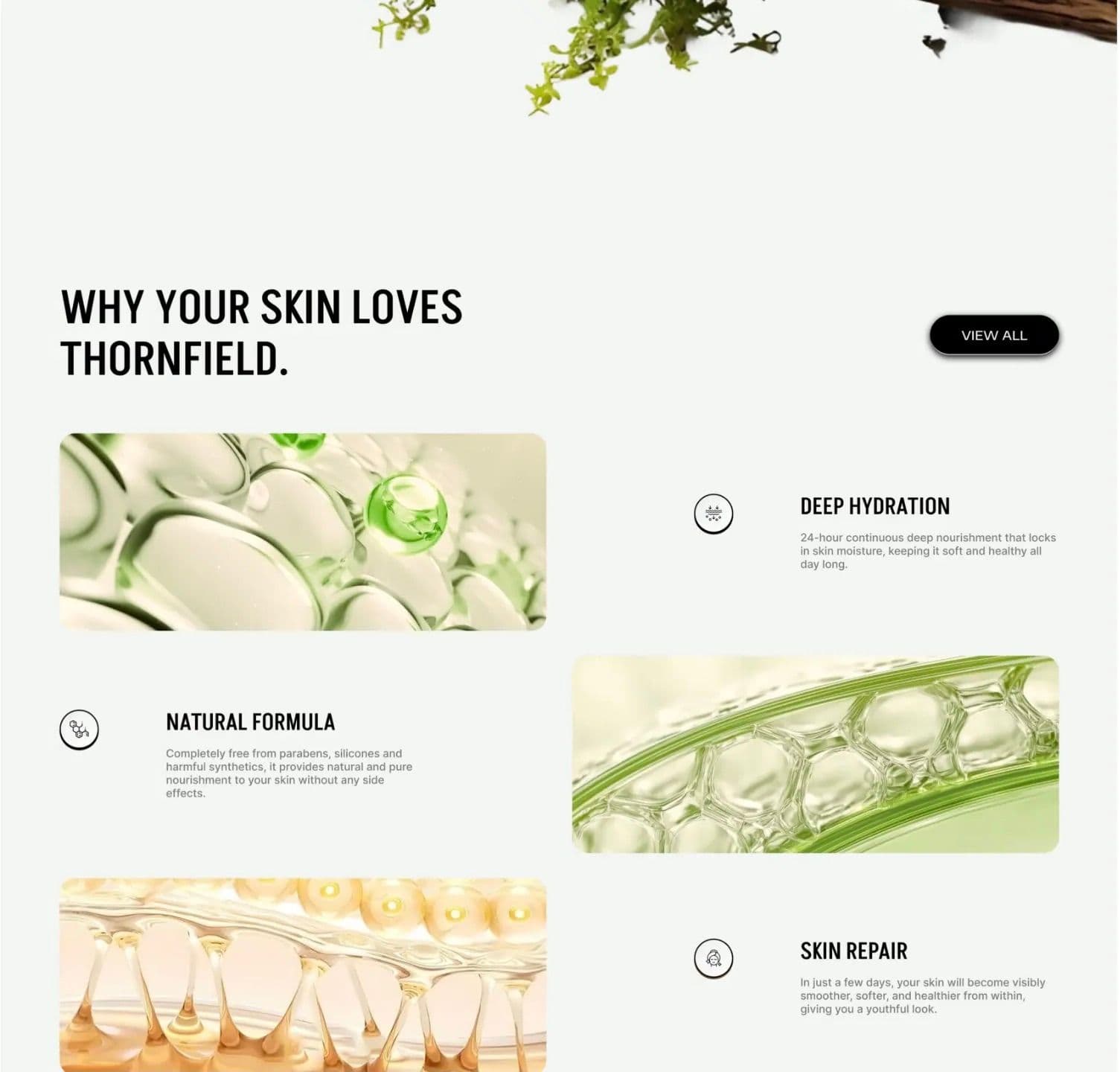 Leafora — Botanical Skincare E-Commerce Website 3